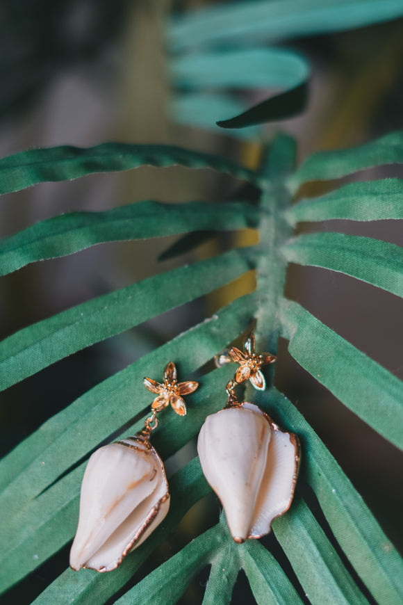 Ocean Shells Earrings